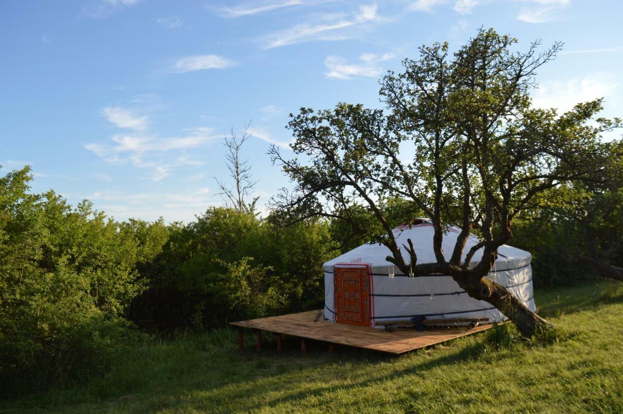 Camping V Raji - Palda Rovensko pod Troskami Kültér fotó